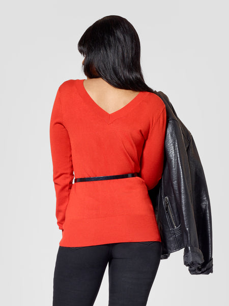 Tall V-Neck Sweater Backview